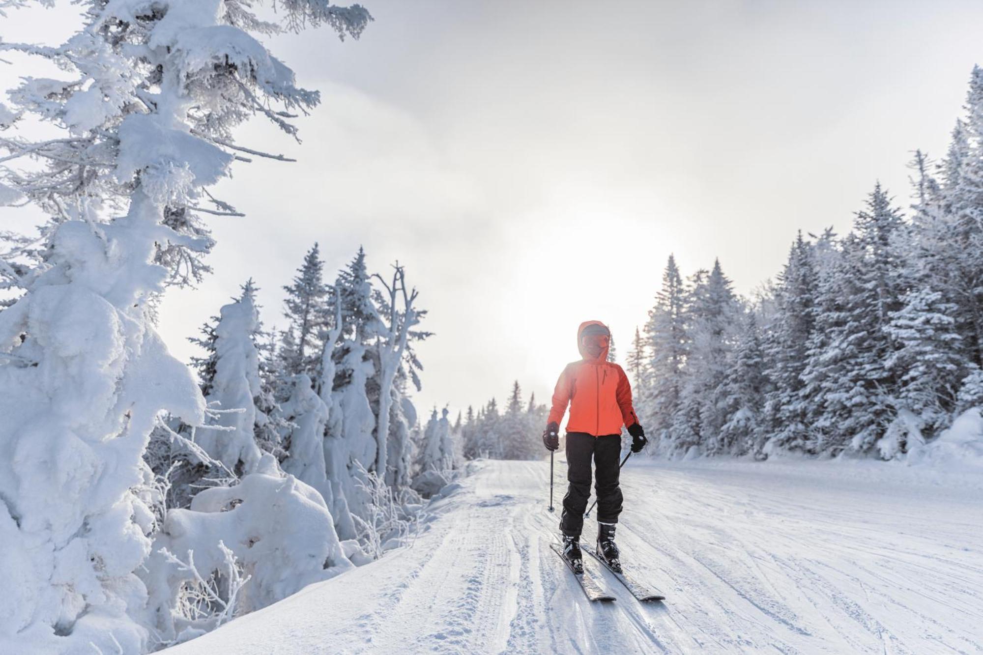 Charmant T3 Avec Vue Montagne Et Parking Privatif Font-Romeu-Odeillo-Via Eksteriør bilde